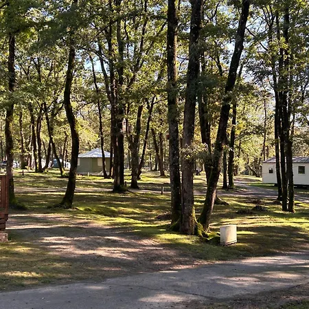 Les Petites Minaudieres *