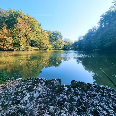 Les Petites Minaudieres Kemping Coussay-les-Bois