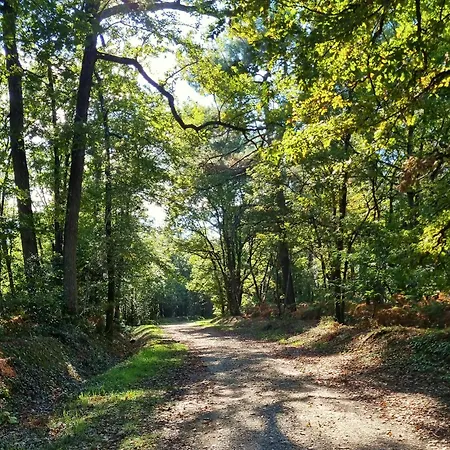 Les Petites Minaudieres Coussay-les-Bois