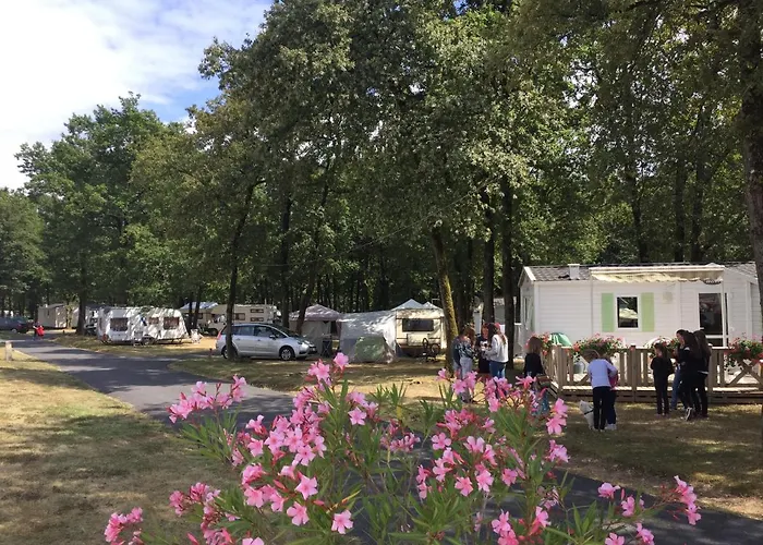 Les Petites Minaudieres * Coussay-les-Bois