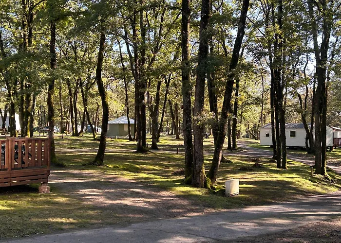 Les Petites Minaudieres *