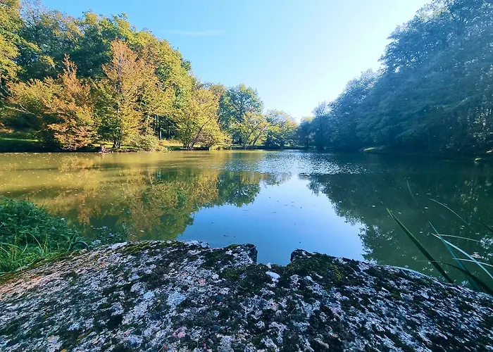 Les Petites Minaudieres Camping Coussay-les-Bois
