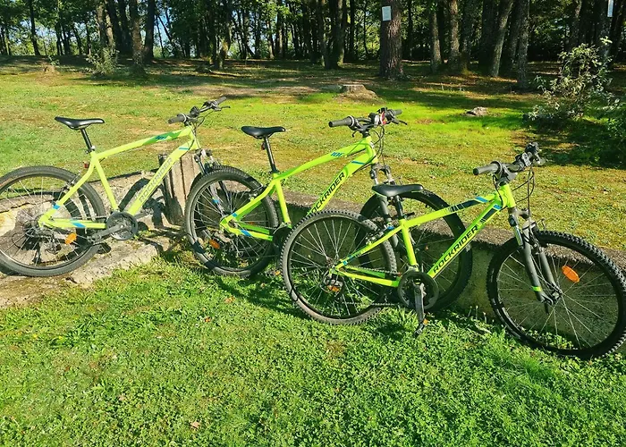 Les Petites Minaudieres * Coussay-les-Bois