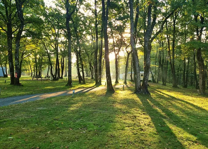 Camping Les Petites Minaudieres