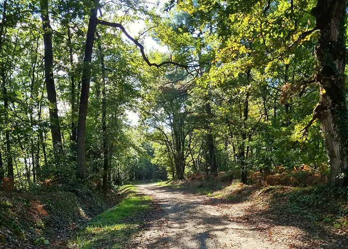 Les Petites Minaudieres Coussay-les-Bois
